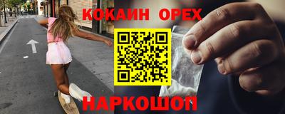 индика Новодвинск