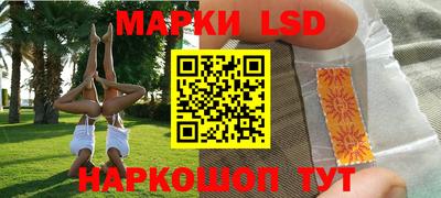 МДПВ Новозыбков