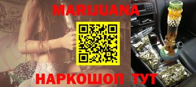 индика Новодвинск