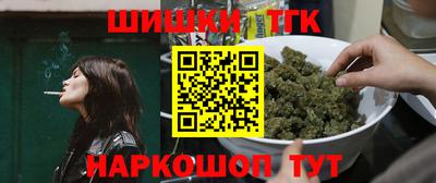 МДПВ Новозыбков