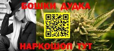 МДПВ Новозыбков