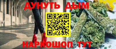 индика Новодвинск
