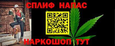 индика Новодвинск