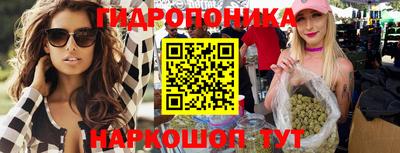 МДПВ Новозыбков